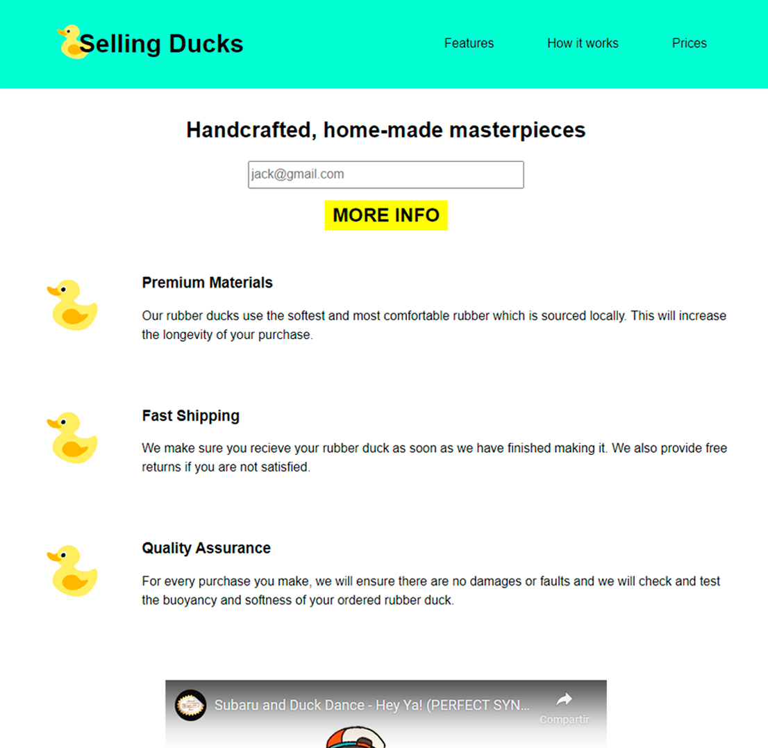 product landing page screenshot